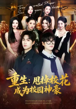 重生:甩掉校花成为校园神豪海报
