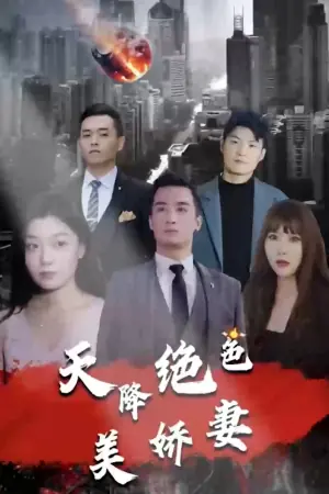 天降绝色美娇妻海报