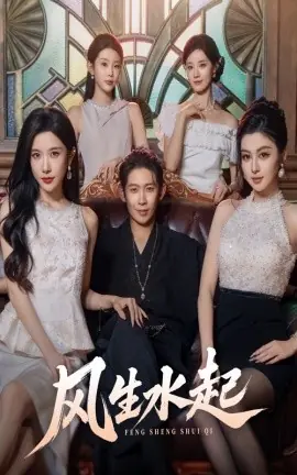 风生水起海报
