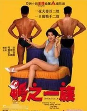 鸭之一族海报