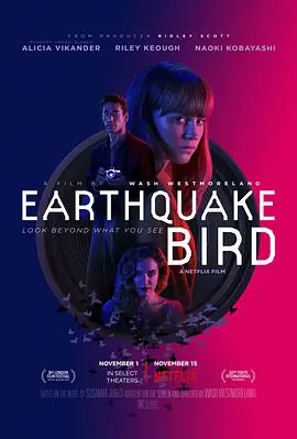 惊弓之鸟EarthquakeBird海报