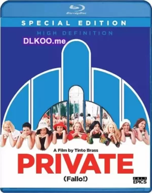 过错-激情假期海报