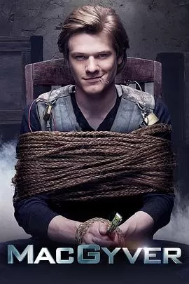 新百战天龙第四季海报