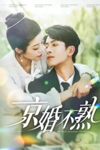 京婚不熟海报