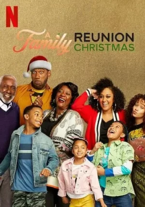 家庭聚会:圣诞特别篇海报