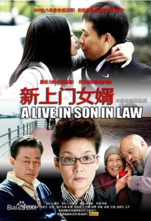 新上门女婿2010海报
