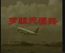 梦醒天涯路海报