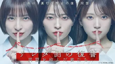 被出轨方的复仇结成同盟的妻子们海报