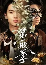 第一败家子海报