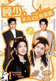 顾少,夫人又在拆家啦海报