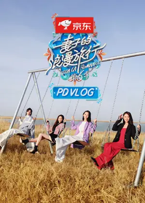 妻子的浪漫旅行6PDvlog海报