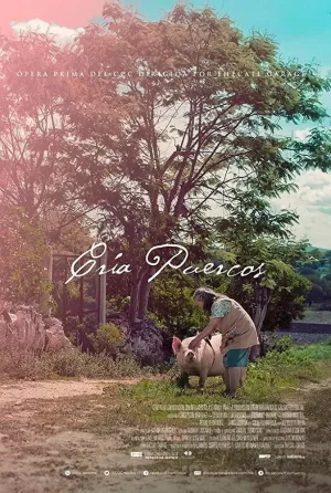 奶奶养的猪海报