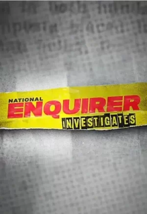 国家调查报探案海报