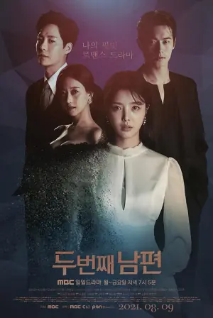 第二任丈夫海报