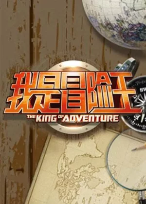 我是冒险王海报