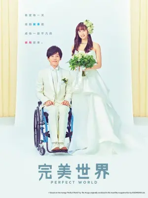完美的世界海报
