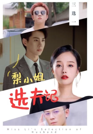 梨小姐选夫记海报