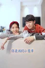 你是我的小宠幸海报