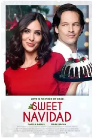 甜蜜纳维达海报