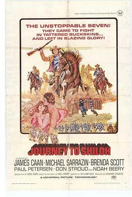 德州七勇士海报