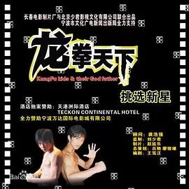 龙拳天下海报