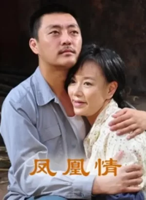 凤凰情[影视解说]海报