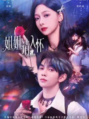 姐姐请入怀海报