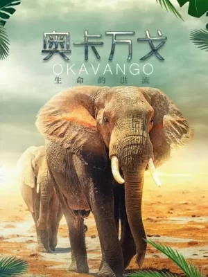 奥卡万戈:生命的洪流海报