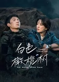 白色橄榄树海报