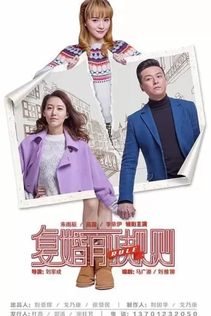 复婚前规则海报