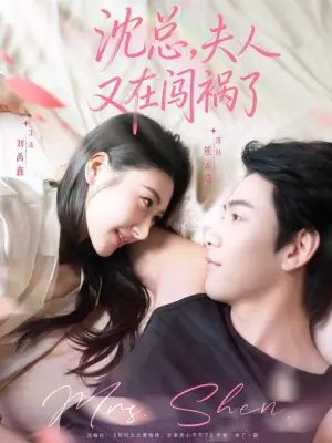 沈总,夫人又在闯祸了海报