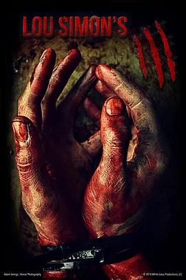 3:以眼还眼海报