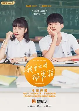 我曾记得那男孩海报