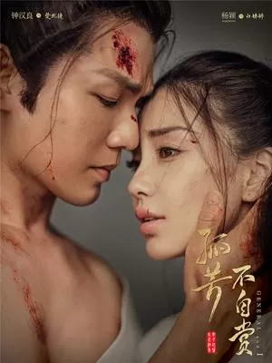 孤芳不自赏纪录片寻芳纪海报