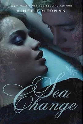 大海的变化海报