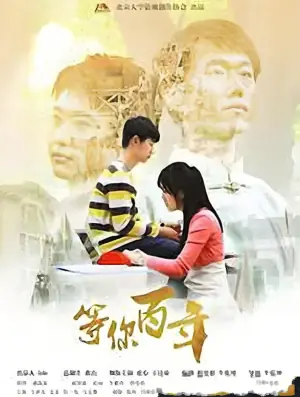 等你百年海报