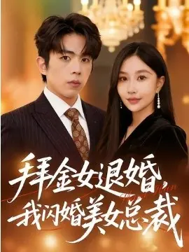 拜金女退婚,我闪婚美女总裁海报