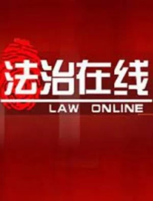 法治在线2024海报