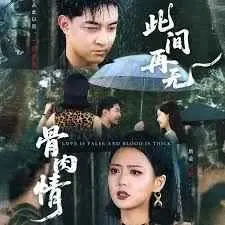 此间再无骨肉情海报