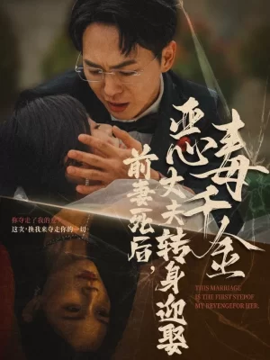 前妻死后,丈夫转身迎娶恶毒千金海报