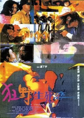 狂野生死恋海报