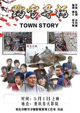 踏雪寻梅[电影解说]海报