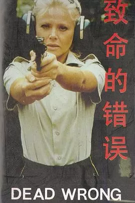 致命的错误(国语)海报