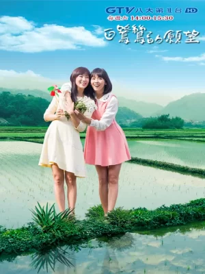 白鹭鸶的愿望海报