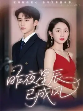 昨夜星辰已成风海报