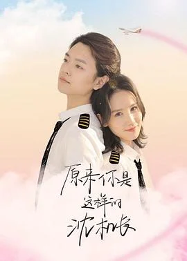 原来你是这样的沈机长海报