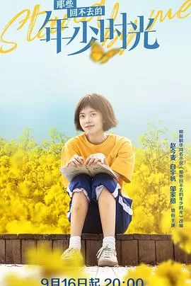 那些回不去的年少时光海报