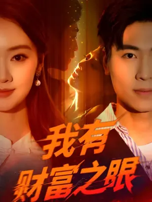 我有财富之眼海报