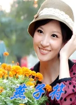 燕子符海报