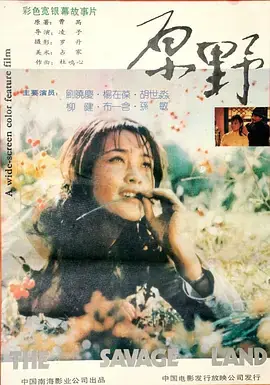 原野海报
